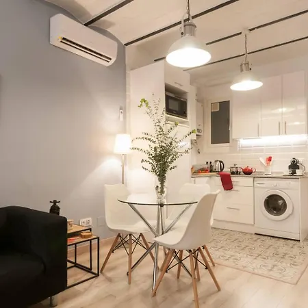 Apartment Quiet 2br For 3, Pets Welcomed Barcelona